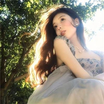 壳中少女 排气